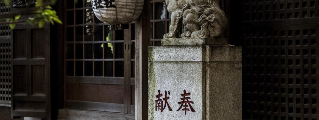日本代購服務升級！新增商品代尋與預購協助服務